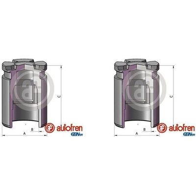 AUTOFREN SEINSA 2x Autofren 38mm Kolben Bremssattel Hinten Passend Für Hyundai Ioniq Kia Carens: AUTOFREN SEINSA 2x Autofren 38mm Kolben Bremssattel Hinten Passend Für Hyundai Ioniq Kia Carens: