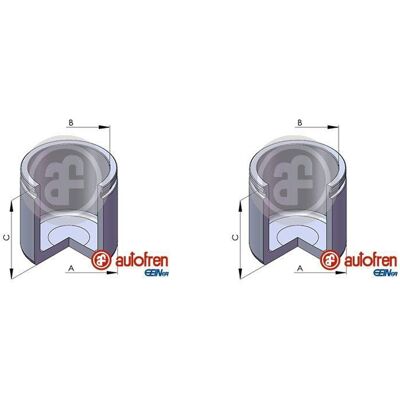 AUTOFREN SEINSA 2x Autofren 48mm Kolben Bremssattel Hinten Passend Für Hyundai Accent Kia Rio: AUTOFREN SEINSA 2x Autofren 48mm Kolben Bremssattel Hinten Passend Für Hyundai Accent Kia Rio: