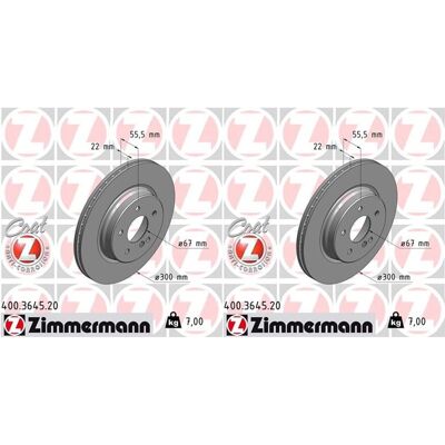 2x Zimmermann Bremsscheiben 300mm Innenbelüftet Hinten Passend Für Chrysler Cros: Bremsscheibe A.b.s.: 17401 Aisin: U6r1833s Ap Xenergy: X602030 Ashik 2x Zimmermann Bremsscheiben 300mm Innenbelüftet Hinten Passend Für Chrysler Cros: Bremsscheibe A.b.s.: 17401 Aisin: U6r1833s Ap Xenergy: X602030 Ashik