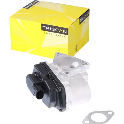 TRISCAN 8813 29003 Aluminium EGR-Ventil - Fahrzeug spezifisch TRISCAN 8813 29003 Aluminium EGR-Ventil - Fahrzeug spezifisch