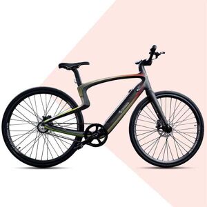 Urtopia Smartes Carbon E-Bike (Voll Carbon, Smart-Fahrrad, Sprachsteuerung, Navi, App) Rainbow 46cm