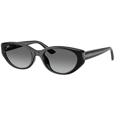RAY BAN Sonnenbrille 0RB4457D/55 schwarz W RAY BAN Sonnenbrille 0RB4457D/55 schwarz W