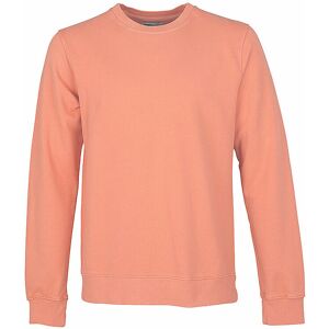 Colorful Standard Sweater  Koralle S