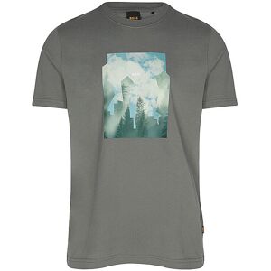 Boss T-Shirt TE_COVER olive M M Boss T-Shirt TE_COVER olive M M