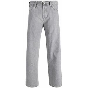 JACK & JONES Jeans Baggy Fit JJIALEX JJORIGINAL hellgrau 33/L34 M JACK & JONES Jeans Baggy Fit JJIALEX JJORIGINAL hellgrau 33/L34 M