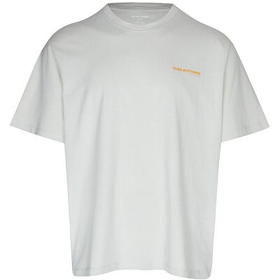 JACK & JONES T-Shirt JJLEMON hellgrau XL M JACK & JONES T-Shirt JJLEMON hellgrau XL M