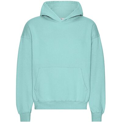 COLORFUL STANDARD Kapuzensweater - Hoodie mint S W COLORFUL STANDARD Kapuzensweater - Hoodie mint S W