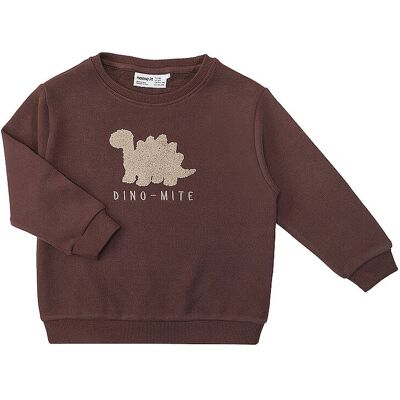 NAME IT Jungen Sweater NMMOBEAR braun 122-128 B NAME IT Jungen Sweater NMMOBEAR braun 122-128 B