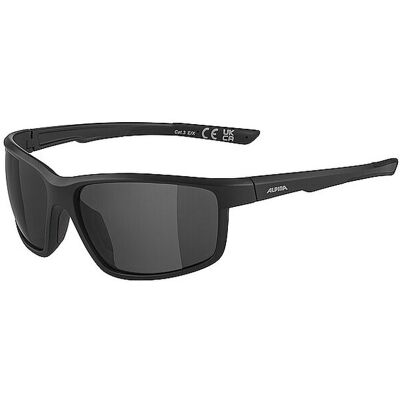 ALPINA Herren Sonnenbrille Defey schwarz M ALPINA Herren Sonnenbrille Defey schwarz M