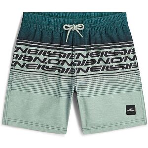 O'NEILL Jungen Badeshorts Stripe hellgrün 164 B O'NEILL Jungen Badeshorts Stripe hellgrün 164 B