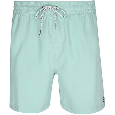 BILLABONG Herren Badeshorts All Day Layback 16 hellgrün L M BILLABONG Herren Badeshorts All Day Layback 16 hellgrün L M