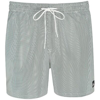 QUIKSILVER Herren Badeshorts Everyday Deluxe Volley hellgrün M M QUIKSILVER Herren Badeshorts Everyday Deluxe Volley hellgrün M M