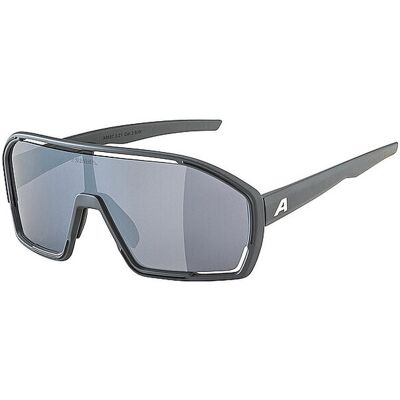 ALPINA Herren Radbrille Bonfire grau M ALPINA Herren Radbrille Bonfire grau M