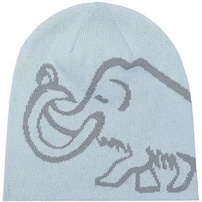 MAMMUT Mütze Mammut Logo Reversible hellblau B MAMMUT Mütze Mammut Logo Reversible hellblau B