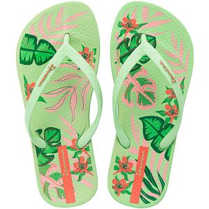 IPANEMA Mädchen Zehentrenner Anat Temas grün 34/35 B IPANEMA Mädchen Zehentrenner Anat Temas grün 34/35 B