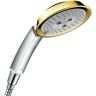 Hansgrohe Raindance Classic Handbrause 100 3jet - chrom/gold optik