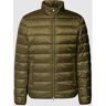 Gant Daunenjacke mit Daunen-Feder-Füllung, Größe 4XL - EUR - Oliv - 4XL