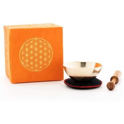 Klangschalen-Center GmbH Mini-Klangschale mit zartem Klang - die Geschenk Idee für kleine und große Klangschalen Fans! Verpackt ist die gegossene Schale in einer Box aus orangefarbenem handgeschöpften Naturpapier mit Brokatstoff und dem Aufdruck 'Blume de Klangschalen-Center GmbH Mini-Klangschale mit zartem Klang - die Geschenk Idee für kleine und große Klangschalen Fans! Verpackt ist die gegossene Schale in einer Box aus orangefarbenem handgeschöpften Naturpapier mit Brokatstoff und dem Aufdruck 'Blume de