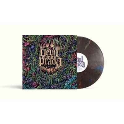 Universal Music Vertrieb - A Division of Universal Music GmbH Plagues (Rainbow Road LP) Universal Music Vertrieb - A Division of Universal Music GmbH Plagues (Rainbow Road LP)