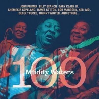 In-Akustik Muddy Waters 100 In-Akustik Muddy Waters 100