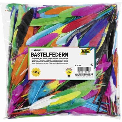 Folia Bastel-Federn MIX BUNT, 100g, farbig sortiert Folia Bastel-Federn MIX BUNT, 100g, farbig sortiert