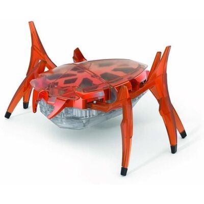 Spin Master Hexbots Scarab/Rhino Beetle (Mischkarton) Spin Master Hexbots Scarab/Rhino Beetle (Mischkarton)