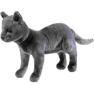 Heunec 621169 - Katze Karajan, Schule der magischen Tiere, Plüschtier, 30 cm Heunec 621169 - Katze Karajan, Schule der magischen Tiere, Plüschtier, 30 cm