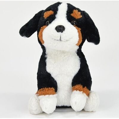 Winfried Kögler GmbH Laber Berner Sennenhund Winfried Kögler GmbH Laber Berner Sennenhund