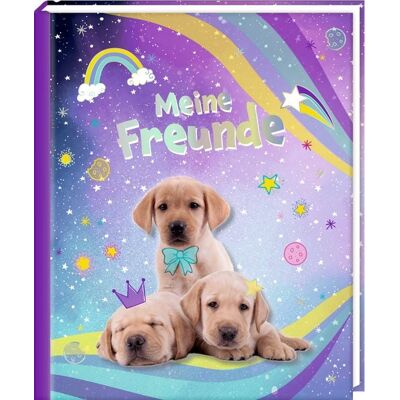 Coppenrath Verlag GmbH & Co. KG Freundebuch – Meine Freunde Coppenrath Verlag GmbH & Co. KG Freundebuch – Meine Freunde