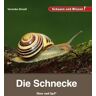 Hase und Igel Verlag Die Schnecke