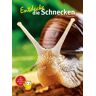 Natur Und Tier Entdecke die Schnecken