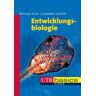 Utb GmbH Entwicklungsbiologie