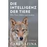 C.H.Beck Die Intelligenz der Tiere