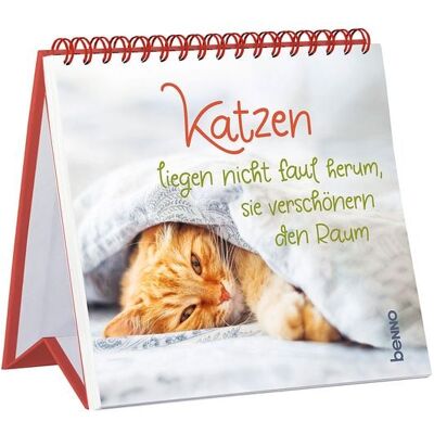 St. Benno Katzen liegen nicht faul herum, sie verschönern den Raum St. Benno Katzen liegen nicht faul herum, sie verschönern den Raum