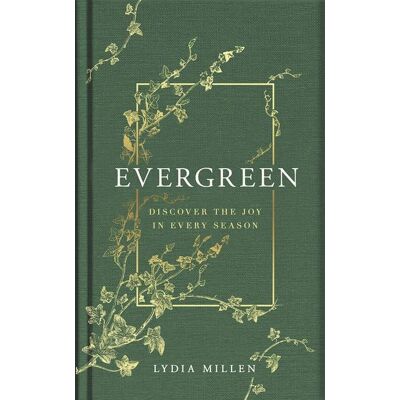 Orion Evergreen Orion Evergreen