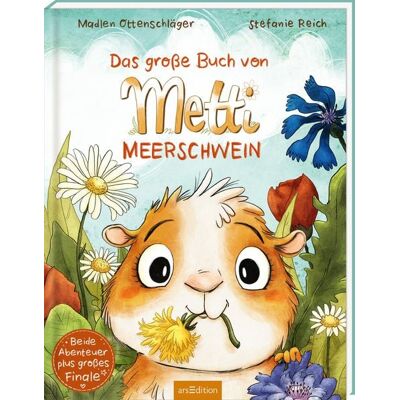arsedition Das große Buch von Metti Meerschwein arsedition Das große Buch von Metti Meerschwein
