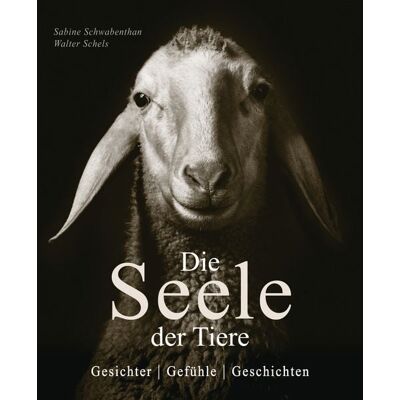 Bassermann Die Seele der Tiere. Gesichter. Gefühle. Geschichten Bassermann Die Seele der Tiere. Gesichter. Gefühle. Geschichten