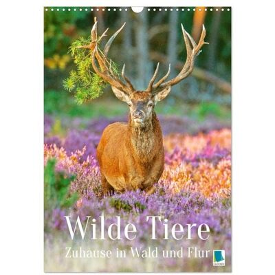 Wilde Tiere: Zuhause in Wald und Flur (Wandkalender 2026 DIN A3 hoch), CALVENDO Monatskalender Wilde Tiere: Zuhause in Wald und Flur (Wandkalender 2026 DIN A3 hoch), CALVENDO Monatskalender