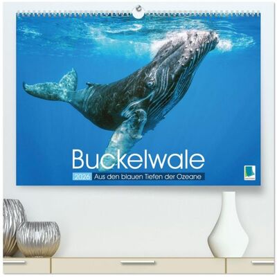 Calvendo Buckelwale: Aus den blauen Tiefen der Ozeane (hochwertiger Premium Wandkalender 2026 DIN A2 quer), Kunstdruck in Hochglanz Calvendo Buckelwale: Aus den blauen Tiefen der Ozeane (hochwertiger Premium Wandkalender 2026 DIN A2 quer), Kunstdruck in Hochglanz