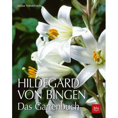 Blv Hildegard von Bingen Blv Hildegard von Bingen