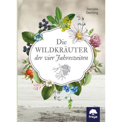 Freya Die Wildkräuter der vier Jahreszeiten Freya Die Wildkräuter der vier Jahreszeiten
