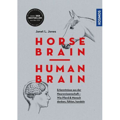 Kosmos Horse Brain, Human Brain Kosmos Horse Brain, Human Brain