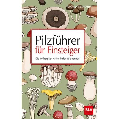 Blv Pilzführer für Einsteiger Blv Pilzführer für Einsteiger