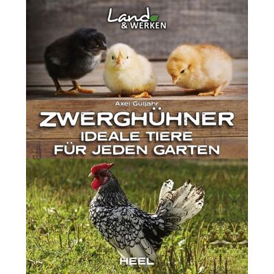 Heel Zwerghühner: Ideale Tiere für jeden Garten Heel Zwerghühner: Ideale Tiere für jeden Garten