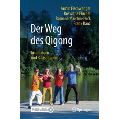 Springer Berlin Der Weg des Qigong Springer Berlin Der Weg des Qigong