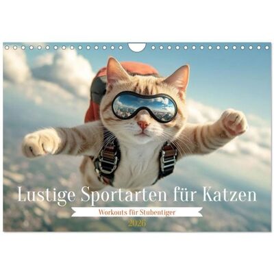 Lustige Sportarten für Katzen (Wandkalender 2026 DIN A4 quer), CALVENDO Monatskalender Lustige Sportarten für Katzen (Wandkalender 2026 DIN A4 quer), CALVENDO Monatskalender