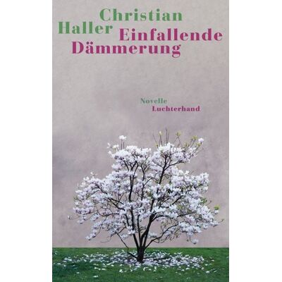 Luchterhand Einfallende Dämmerung Luchterhand Einfallende Dämmerung