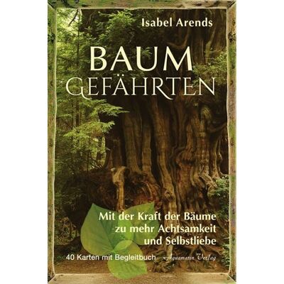 Aquamarin Baumgefährten Aquamarin Baumgefährten