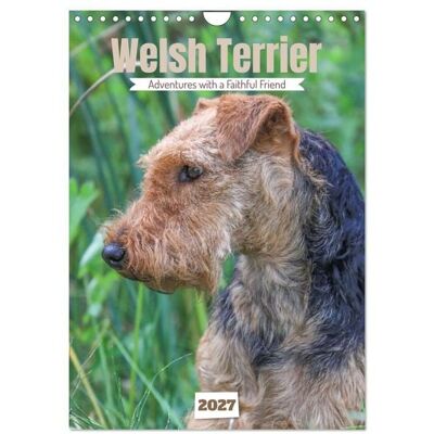 Welsh Terrier - Adventures with a Faithful Friend (Wall Calendar 2027 DIN A4 portrait), CALVENDO 12 Month Wall Calendar Welsh Terrier - Adventures with a Faithful Friend (Wall Calendar 2027 DIN A4 portrait), CALVENDO 12 Month Wall Calendar