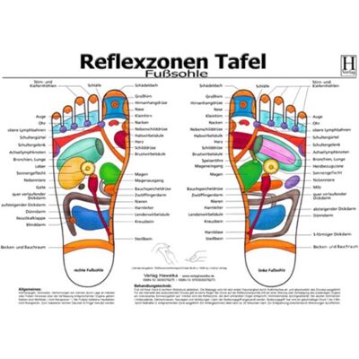 Hawelka, Uwe Fussreflexzonen Tafel - Fusssohle - A3 (laminiert) Hawelka, Uwe Fussreflexzonen Tafel - Fusssohle - A3 (laminiert)